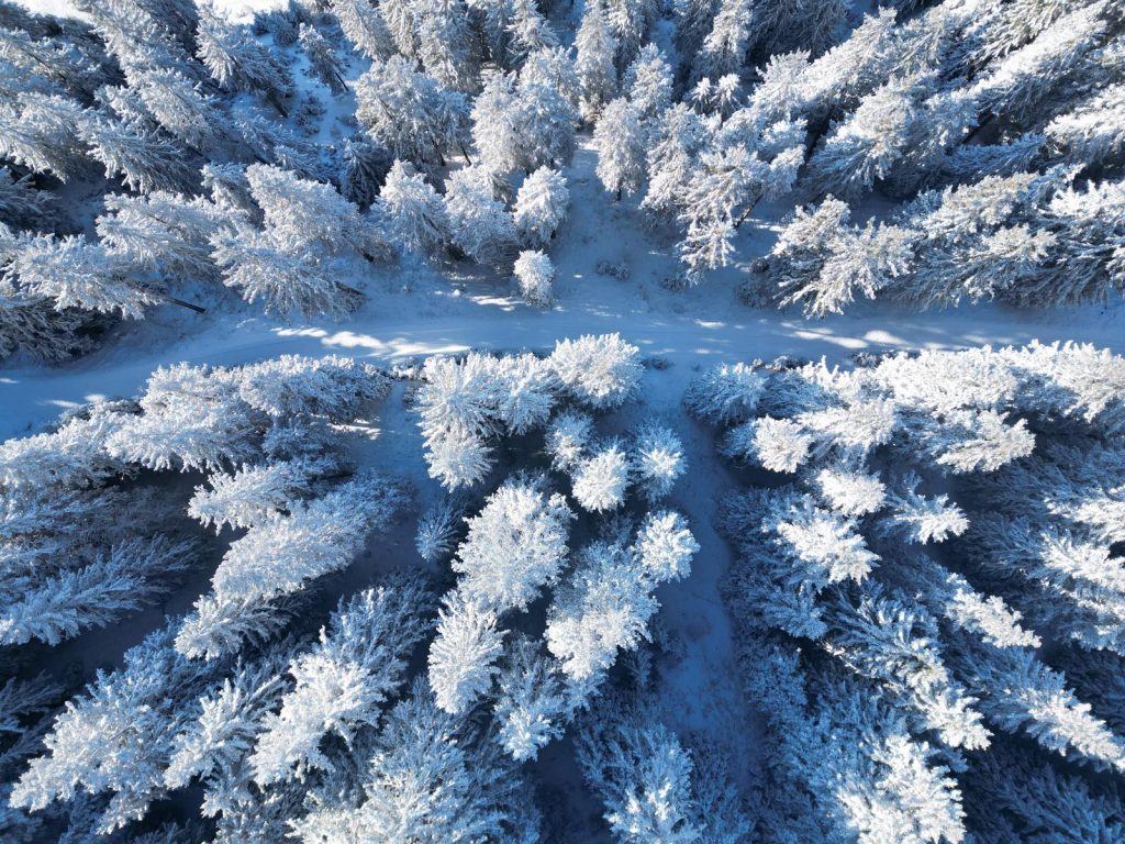 whatsapp image 2025 12 08 at 14.17.23